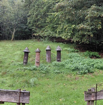 20260924_120834.jpg