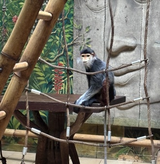 IMG_7896.jpeg
