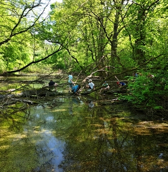 hydrobio_0071.JPG