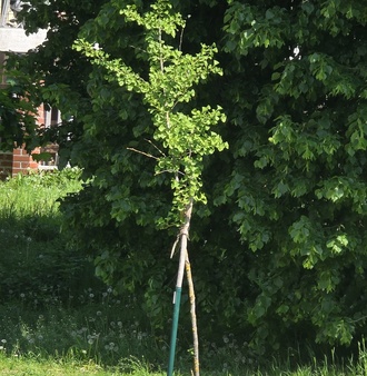 20250502_124306.jpg