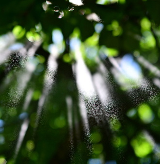 DSC_8775.JPG
