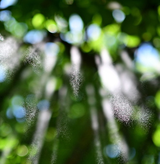 DSC_8777.JPG