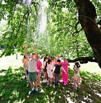 DSC_8840.JPG