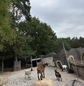 IMG_0280.jpeg