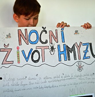 Projekt HMYZ
