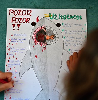 Mýty o žralocích