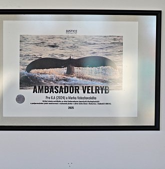 Ambasadoři velryb na Tyršovce