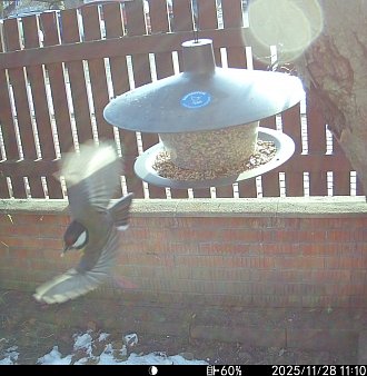 Krmítko na Tyršovce