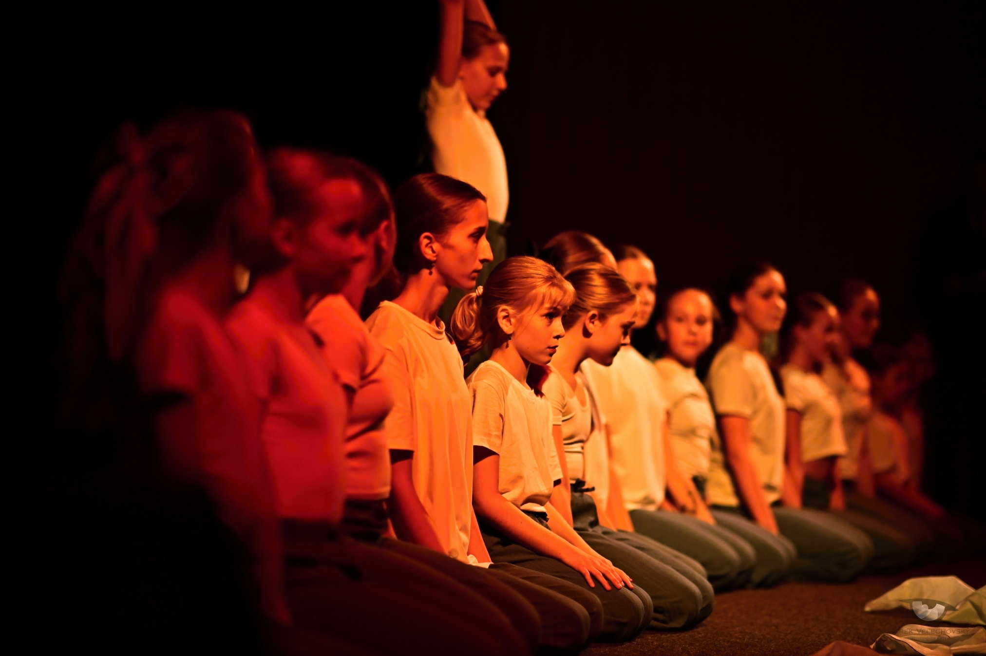 Nymburský "Figulus"