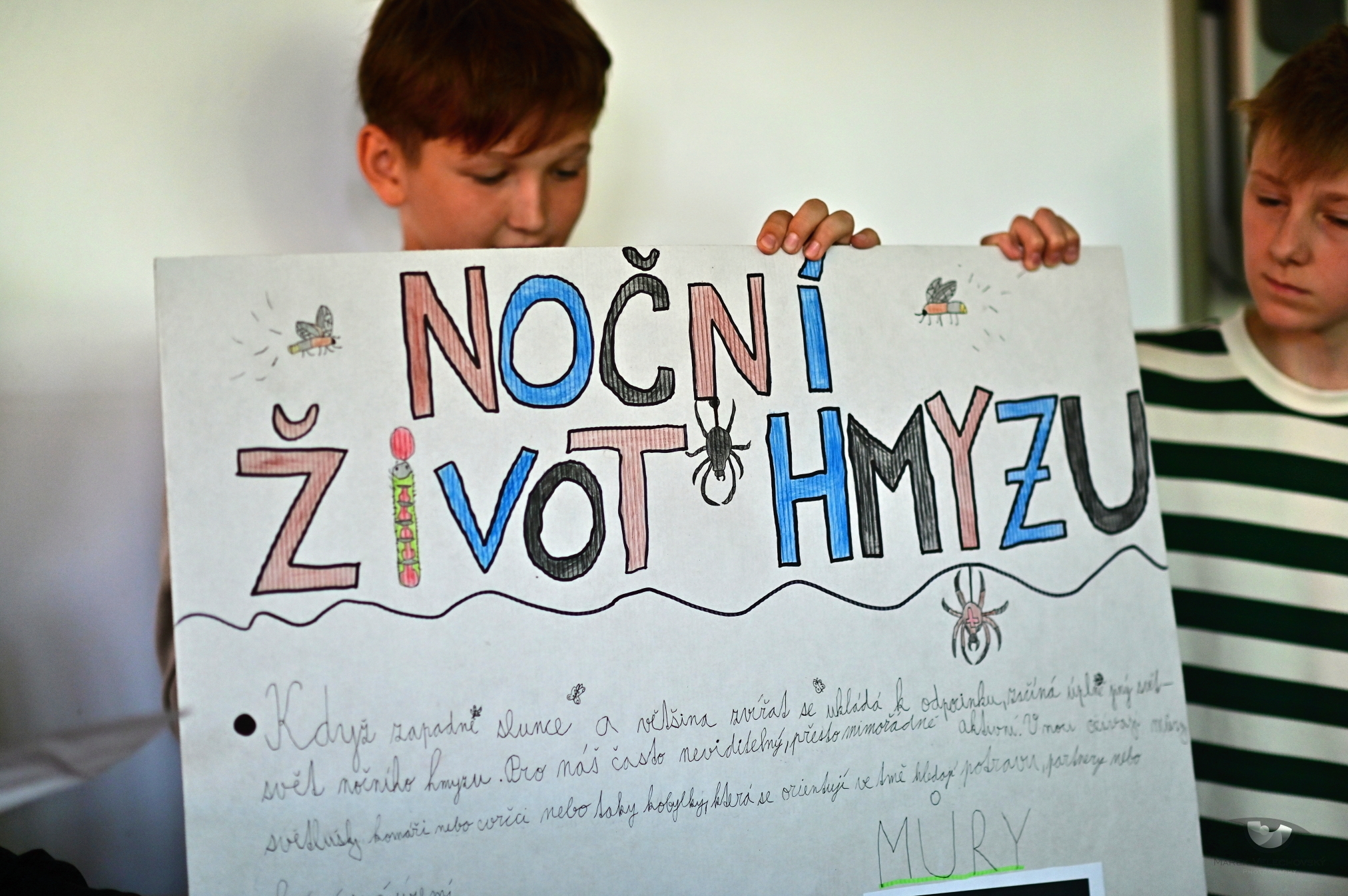Projekt HMYZ
