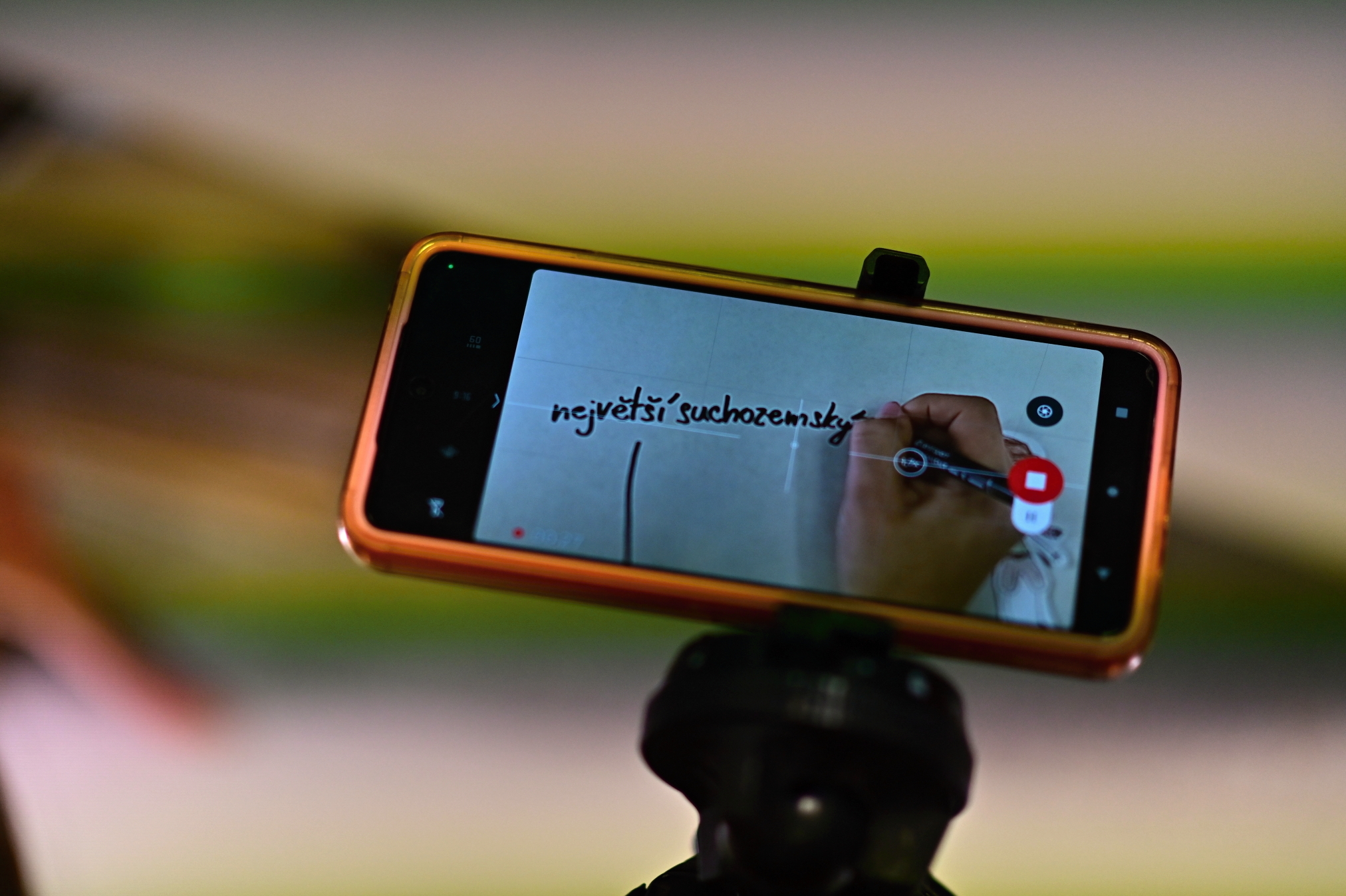 Projekt animovaných filmů