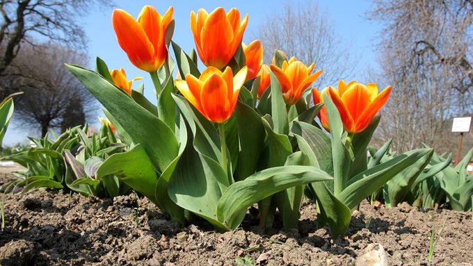 Akce na měsíc březen 2026